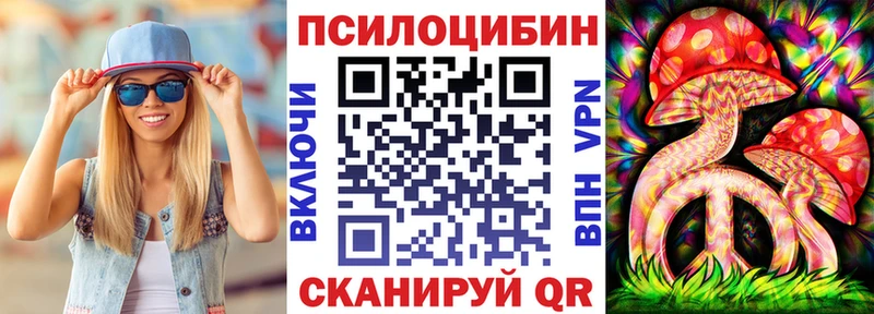 Псилоцибиновые грибы Psilocybine cubensis  закладки  Ахтубинск 